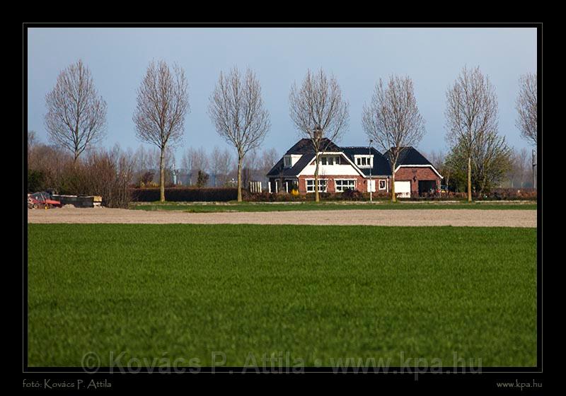 Keukenhof Hollandia 004.jpg